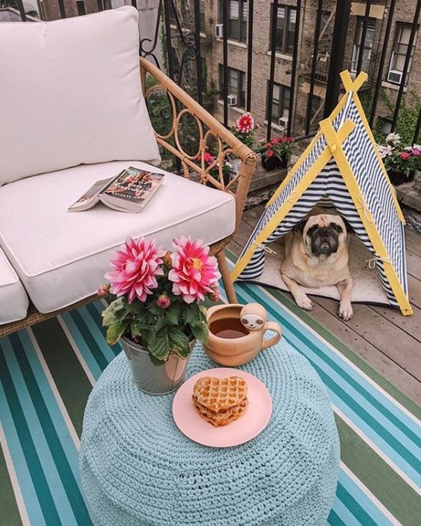 Balcony with Pet-Friendly Decoration