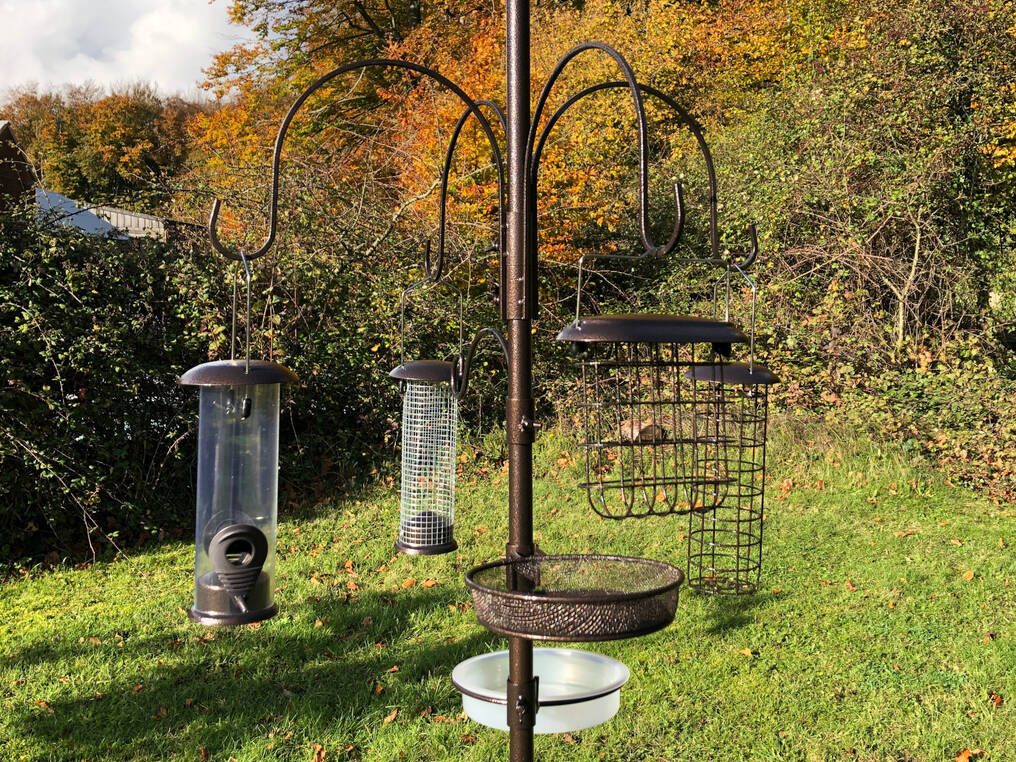 Bird Feeder & Plant Stand