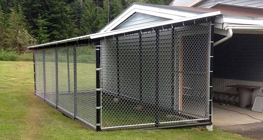 Chain Link Dog Fence