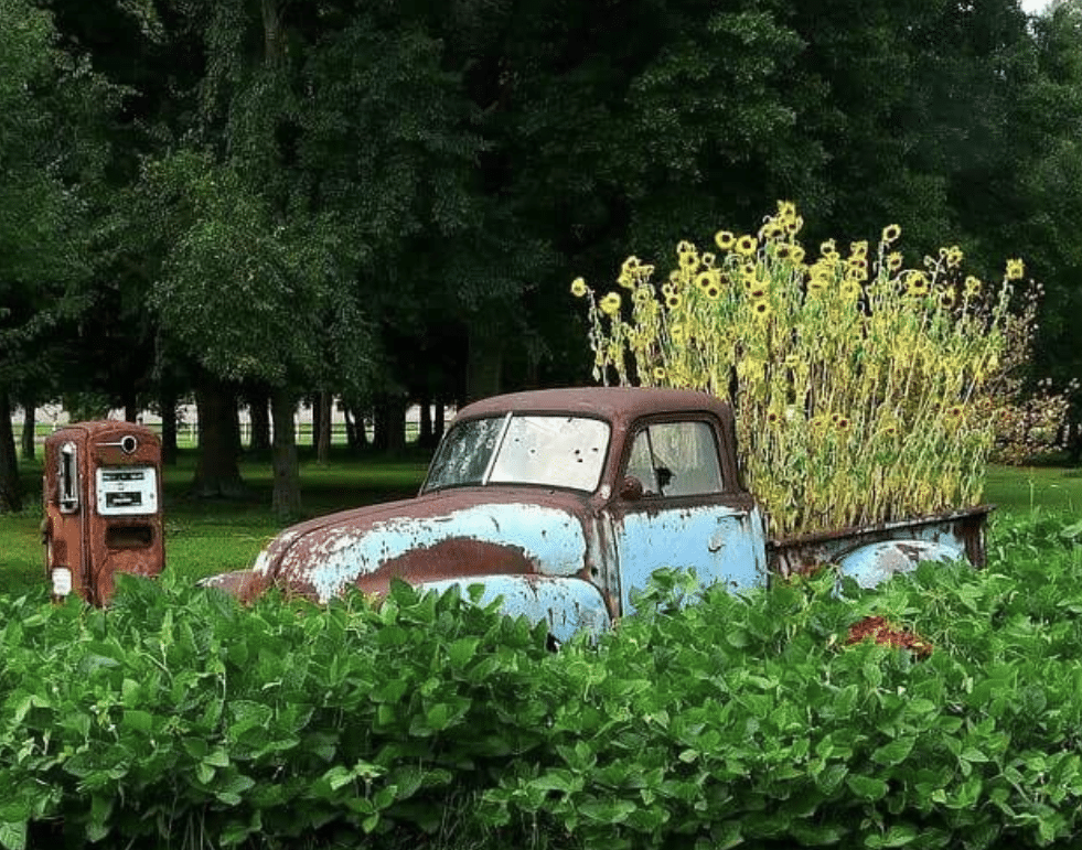 DIY Garden Creativity