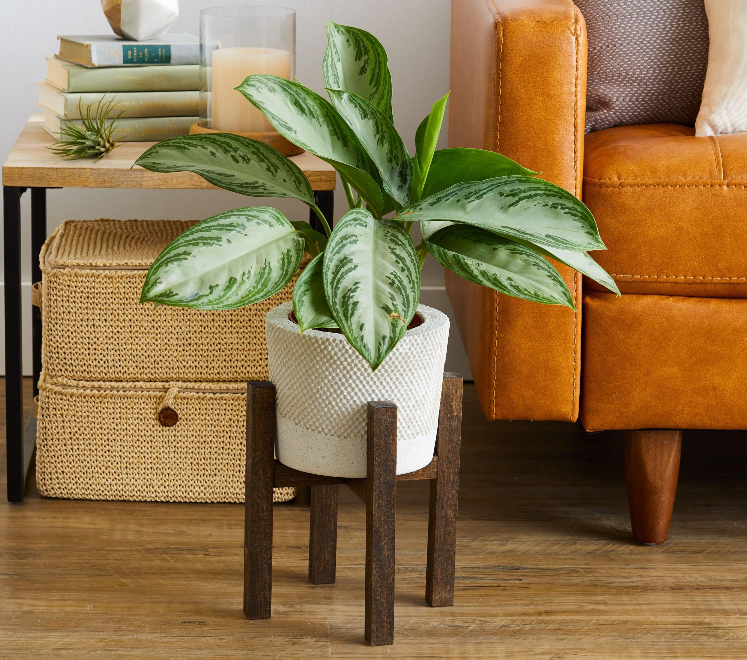 DIY Plant Stand