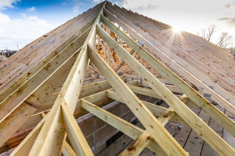Different Parts of Roof Framing