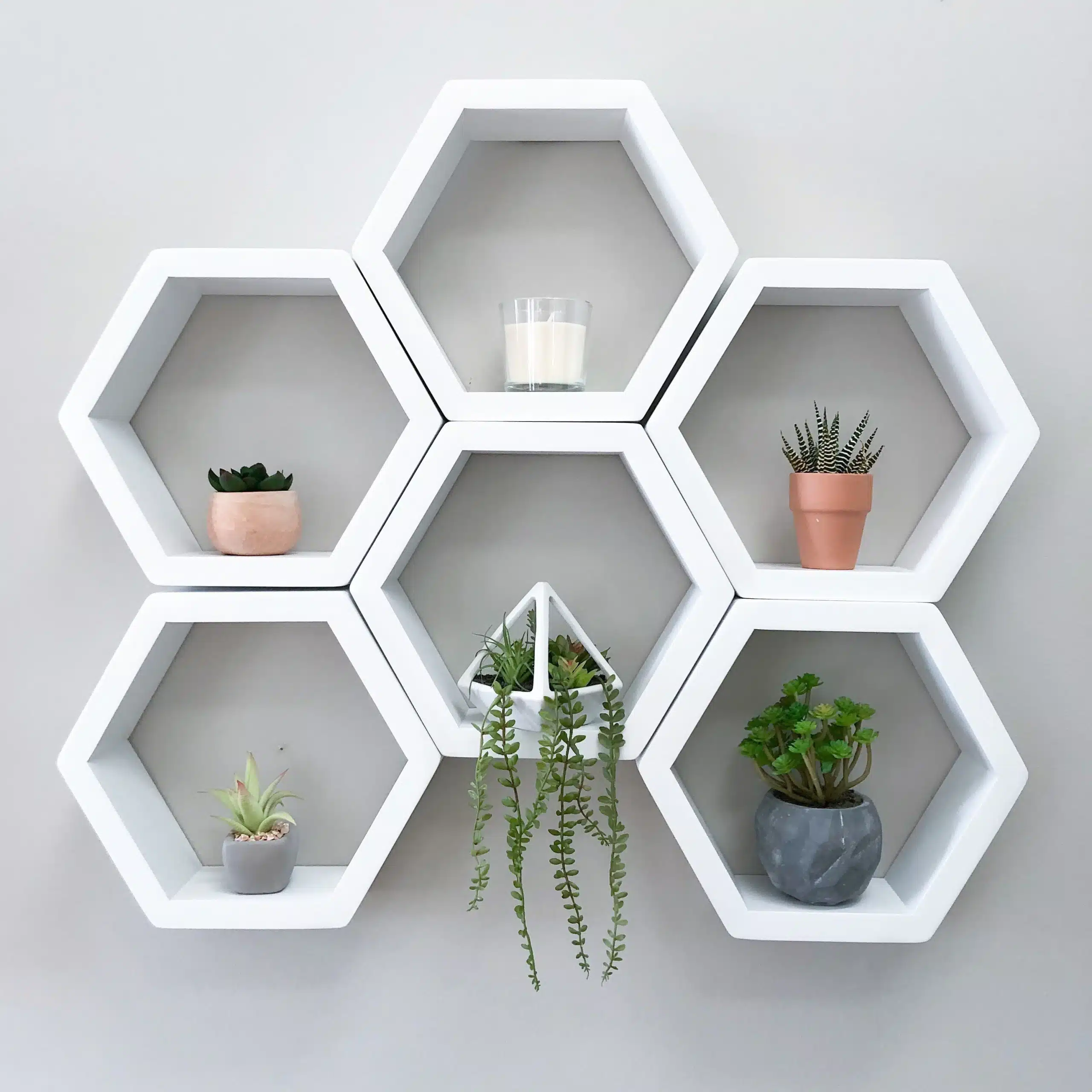 Geometric Hexagonal Shelving .jpg