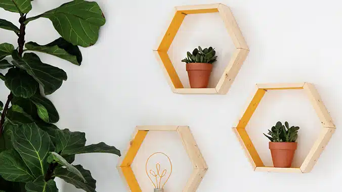 Geometric Hexagonal Shelving .png