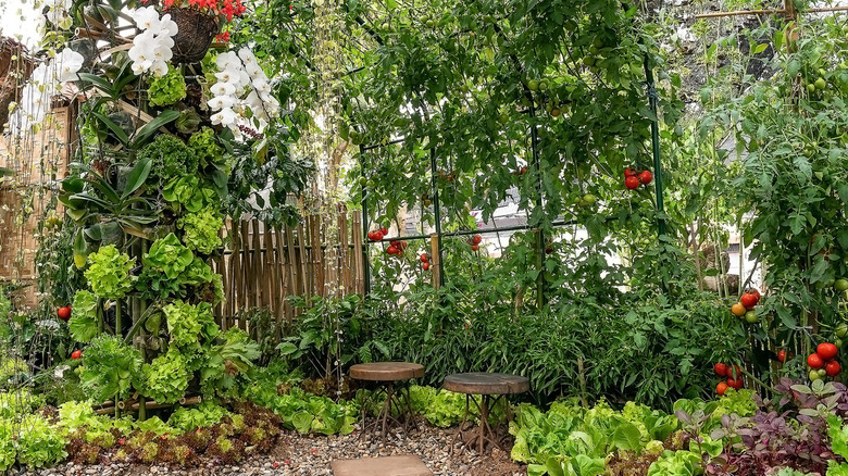 Go-for-the-Relaxing-Vegetable-Garden