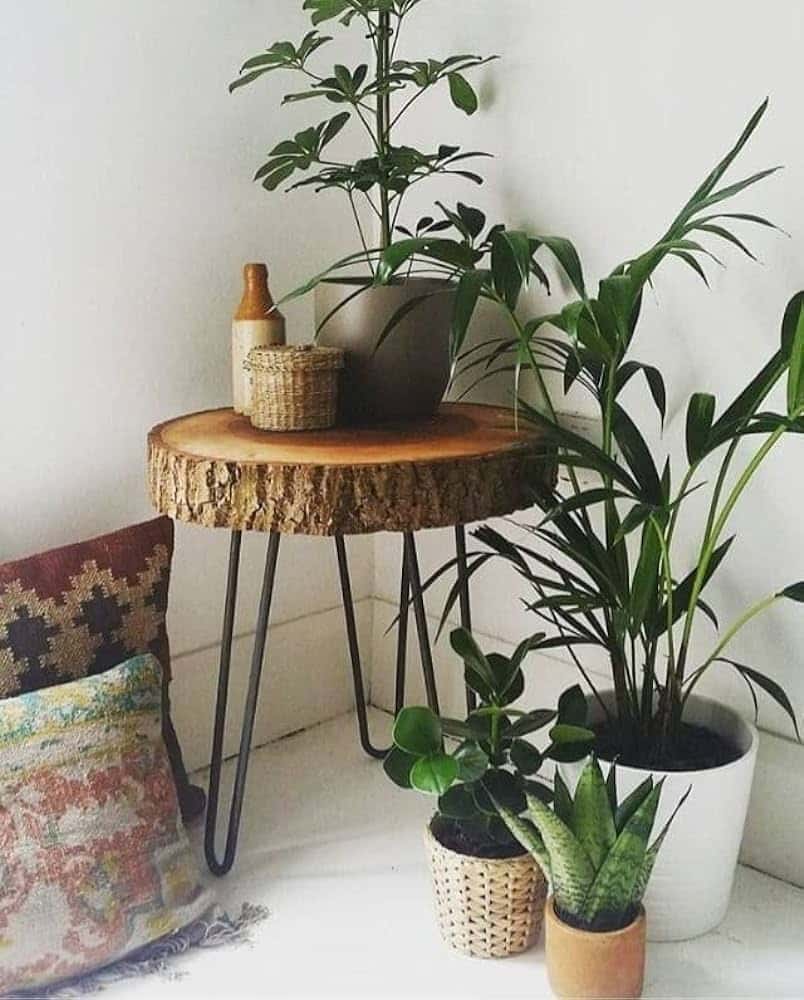 Hanging Wood Slice Plant Stand