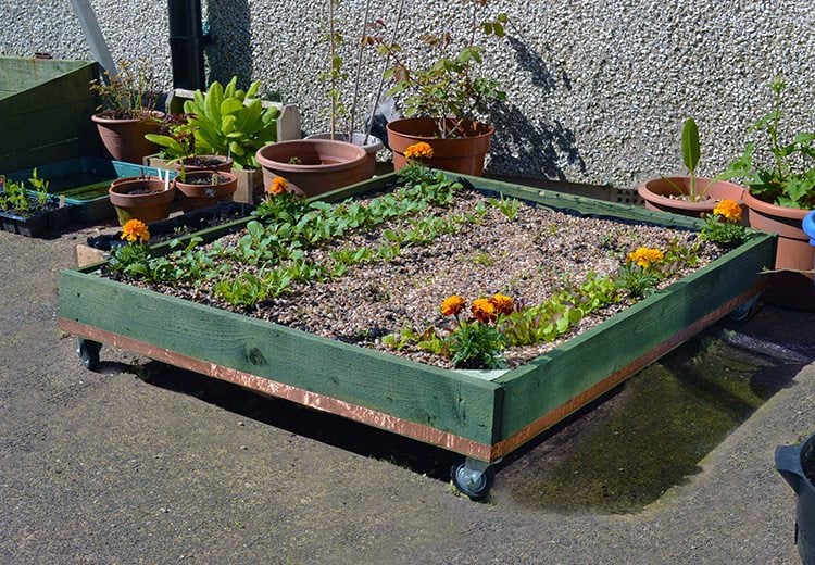 Mini Wheeled Plant Pallet