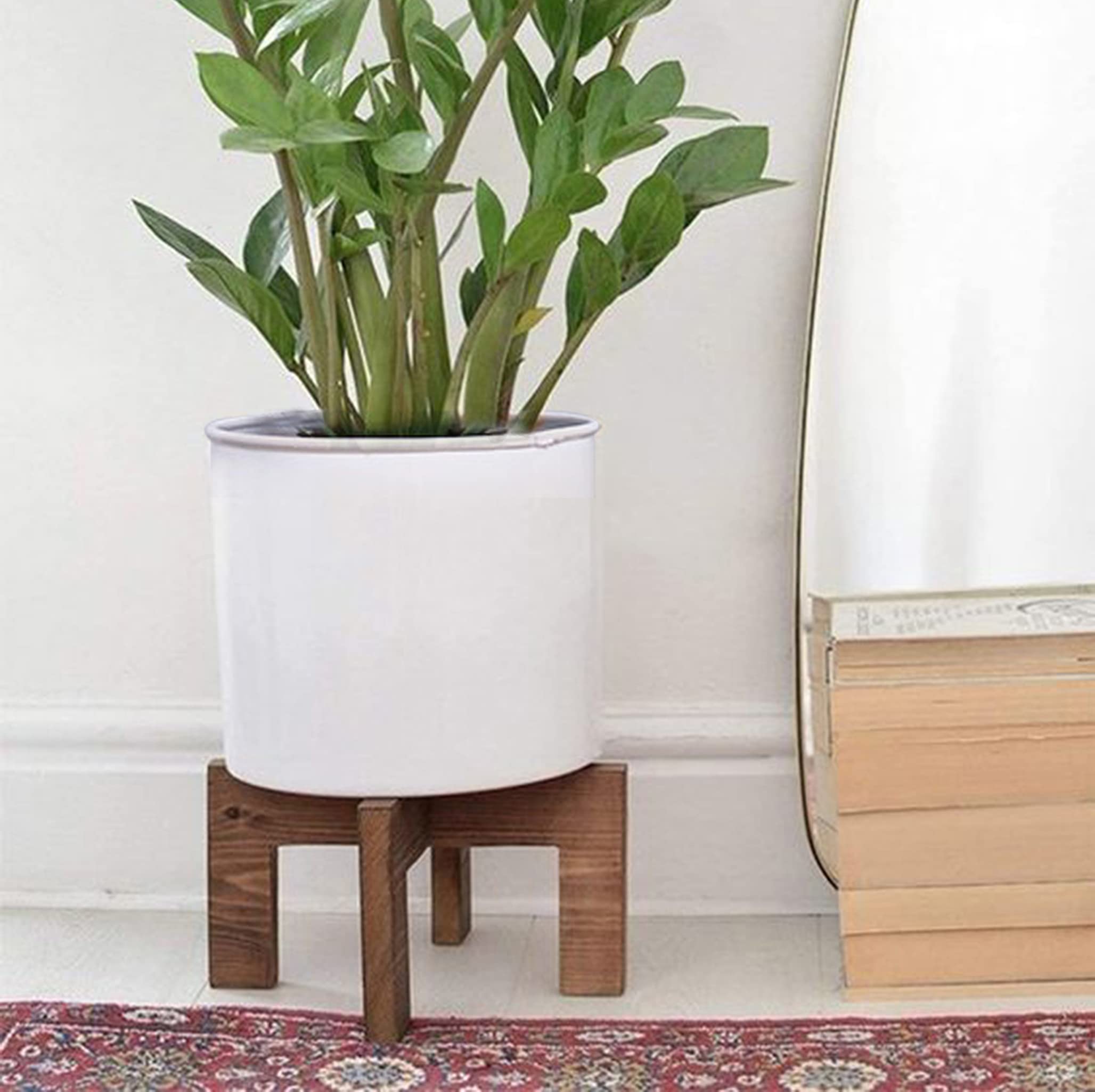 Modern-Plant-Stand