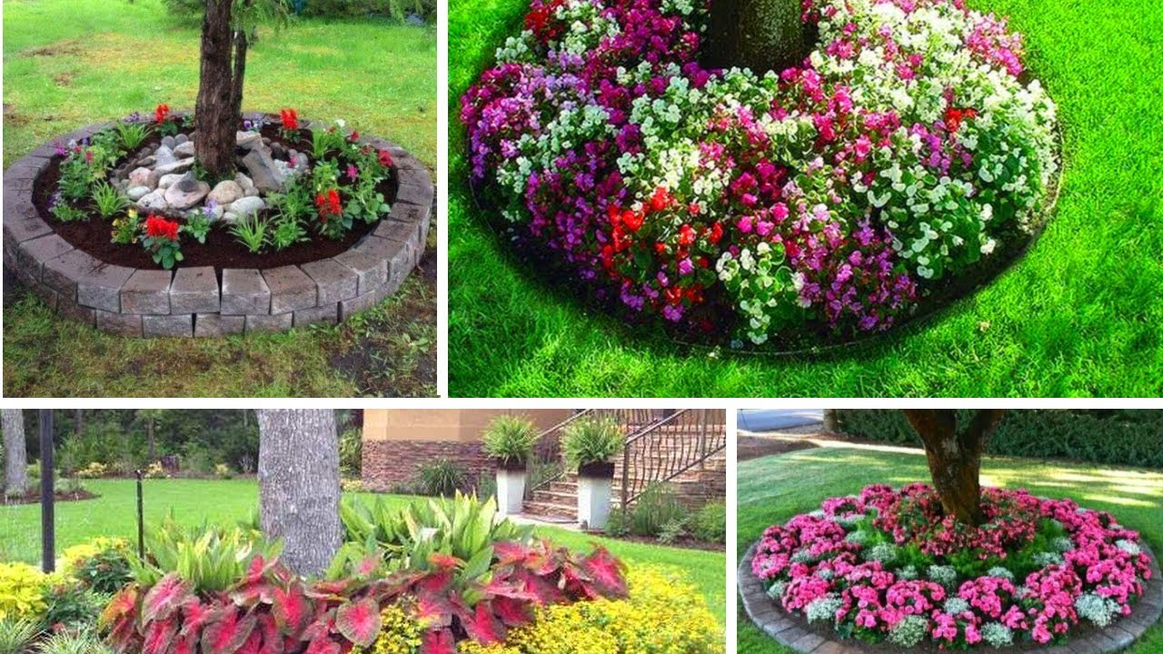 Plant Flowerbed Around Tree
