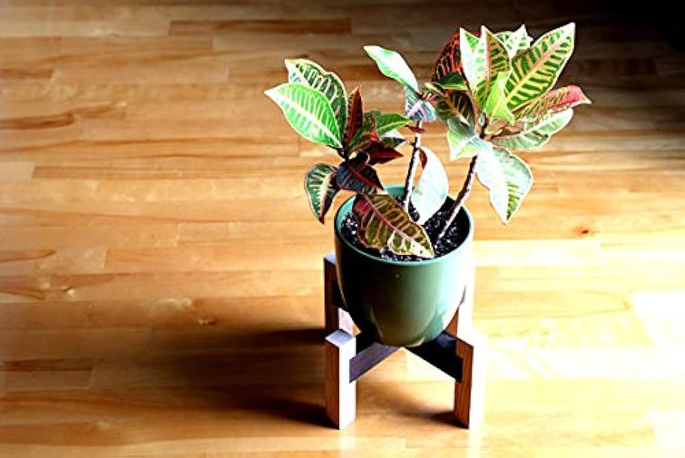 Plant Stand with Wood Legs