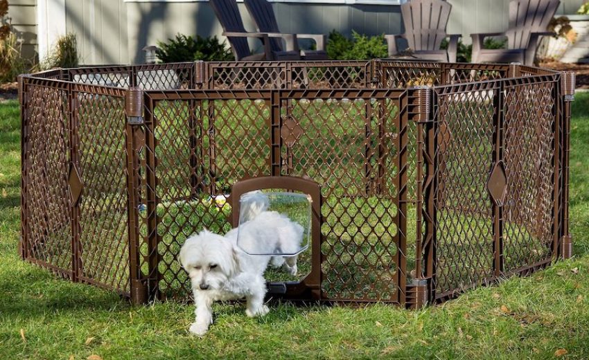 Portable Dog Fence