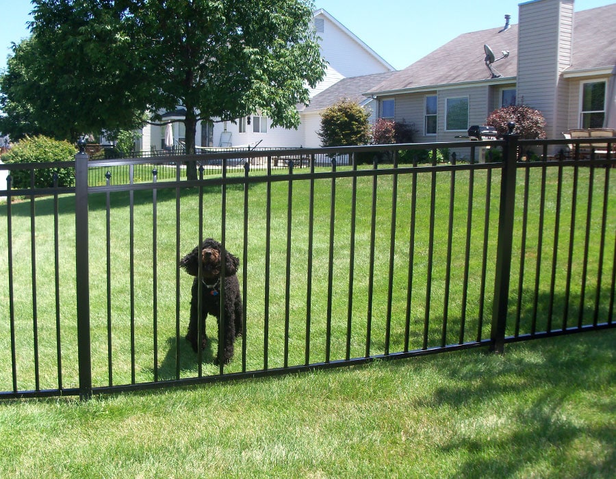 Puppy Fence