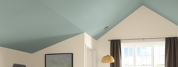 Sherwin Williams Ceiling Paint