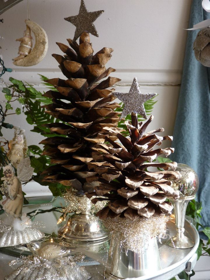 Simple and Nice Pine Cone Display