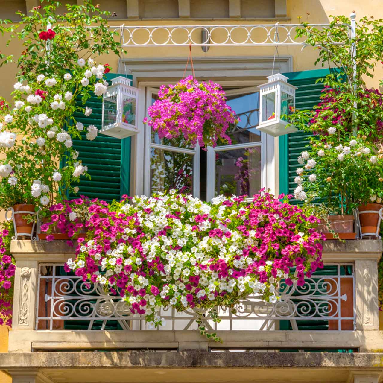 Spruce Up Your Windows with Boxes