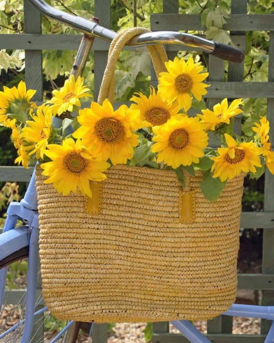 Sunflower Bags