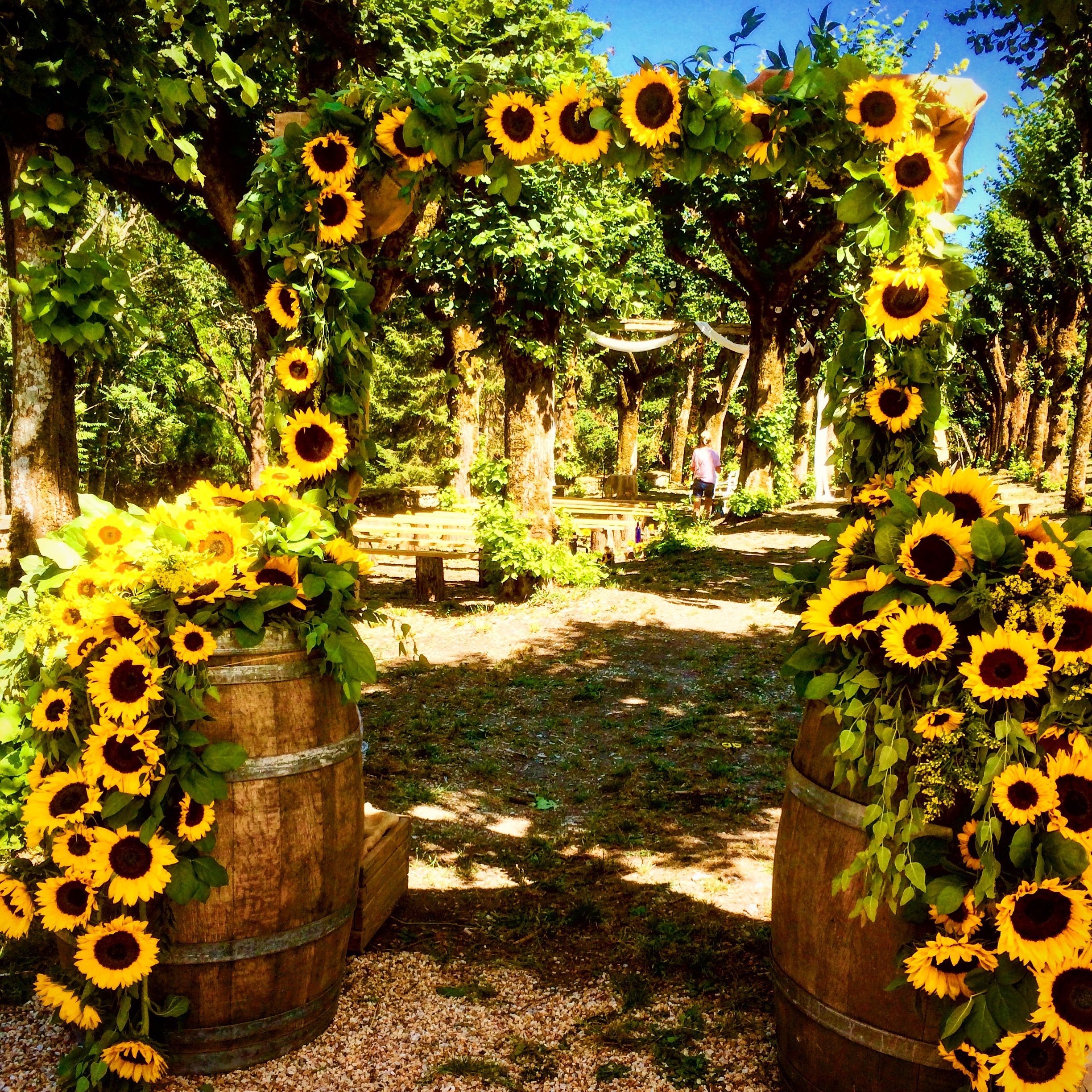 Sunflower Entranceway