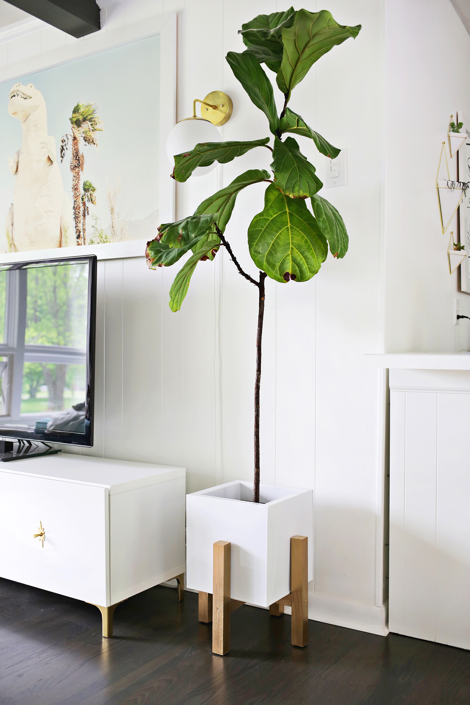 TV Wooden Plant Stand