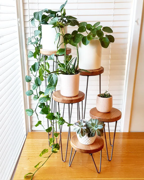 Tabletop Plant Stand with Hairpin Legs .jpg