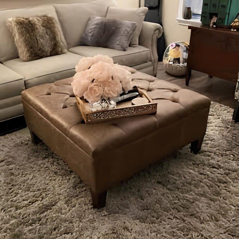 15 Amazing Storage Ottoman Coffee Table