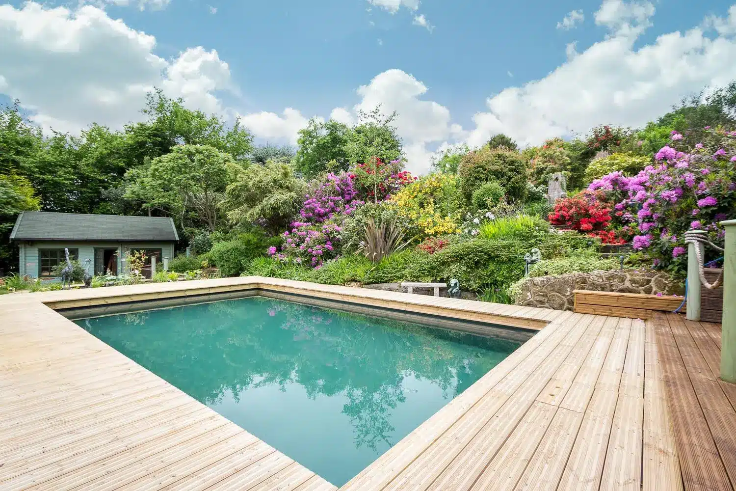 Creating a Sustainable Ecological Pool Design .jpg
