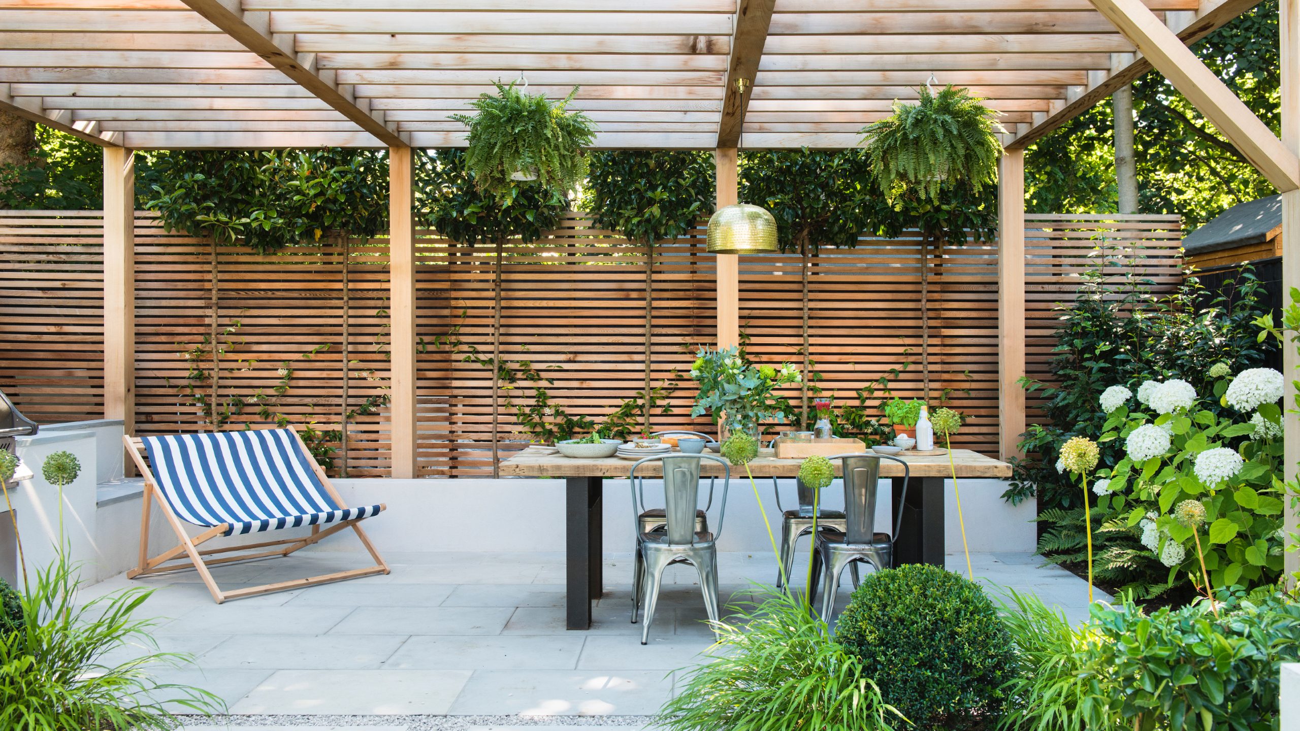 Grow Vines for Shady Space