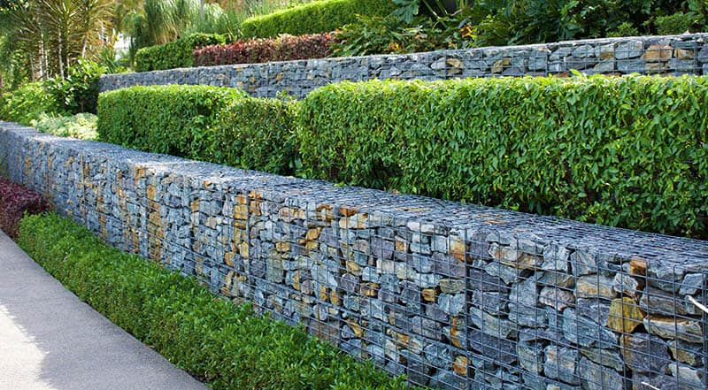 Hedge Retaining Wall