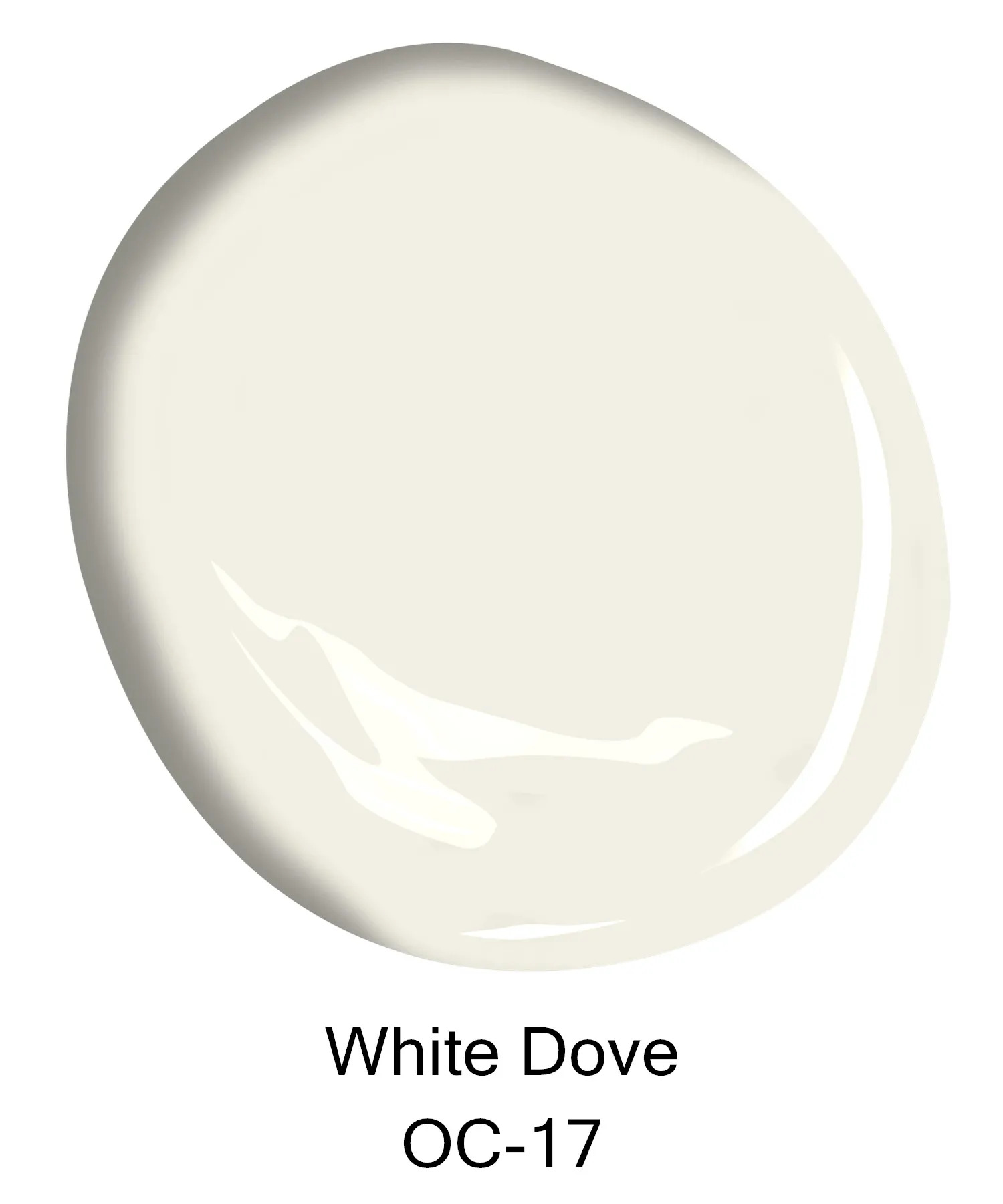 Is Dove White Look Like Gray?
