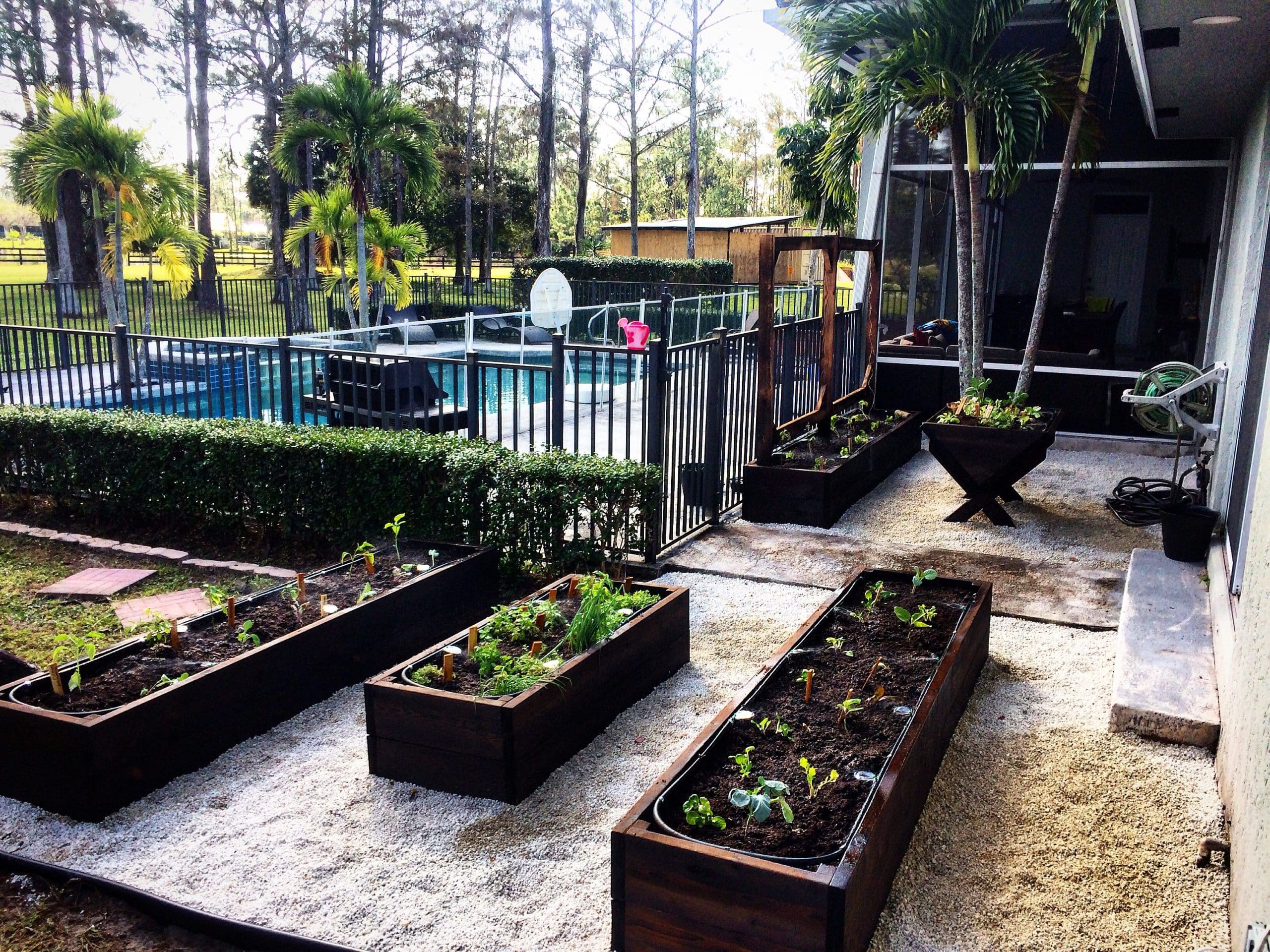 Poolside Edible Garden