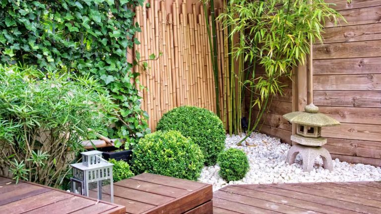Small Corner Rock Garden Ideas to Bring Tranquility