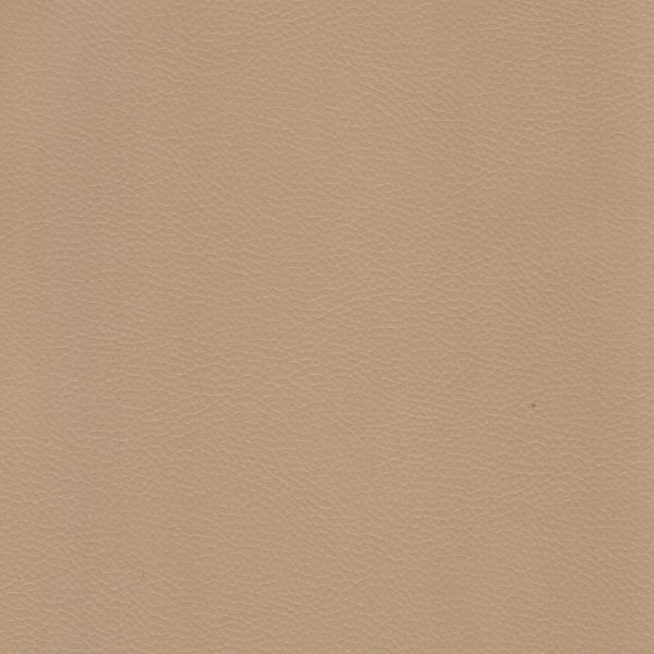 Warm Beige