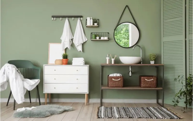 What Colors Go With Olive Green? Ideas for Perfect Pairings