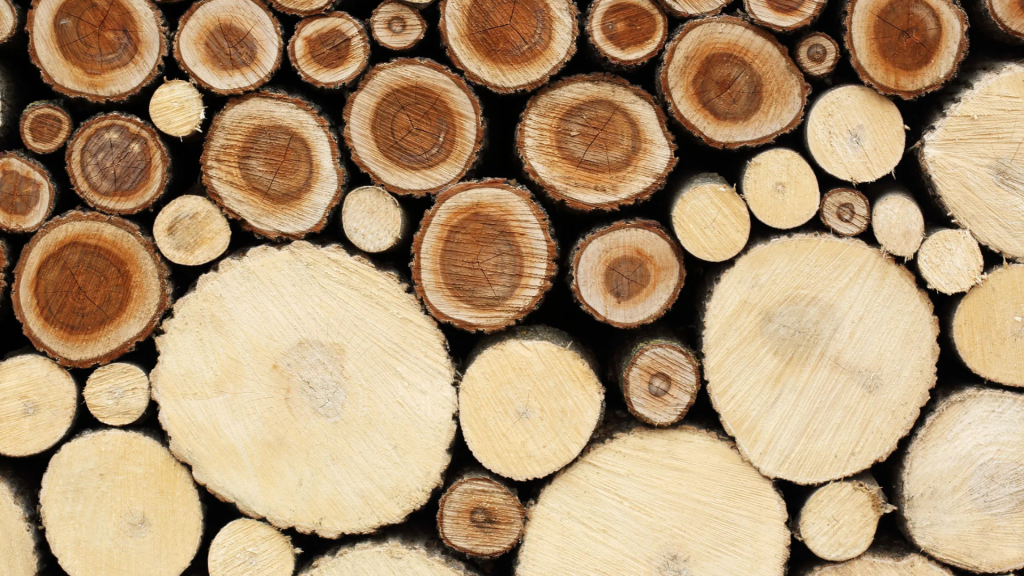 Best Cheapest Wood for Cabinets