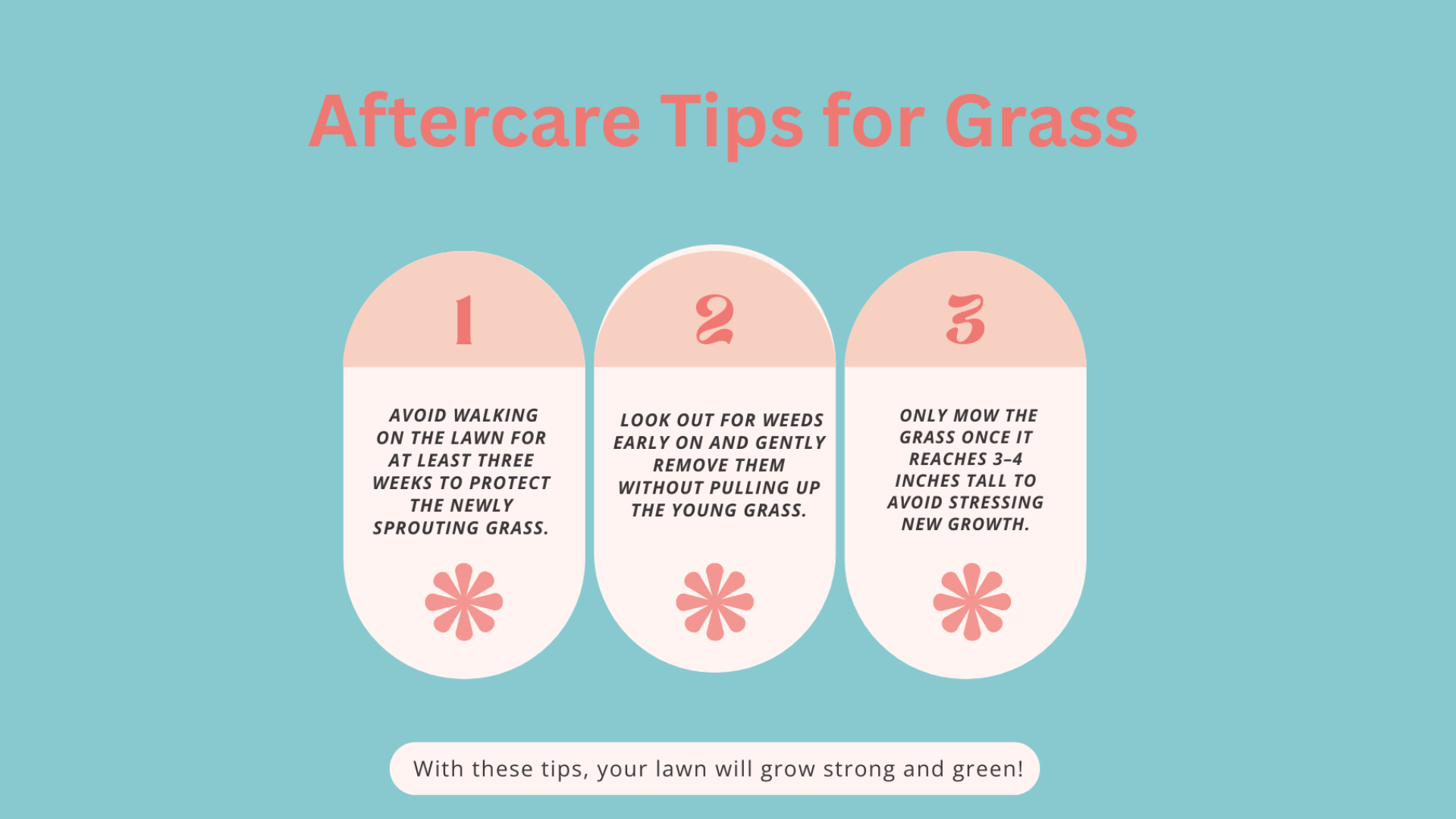 Once_your_grass_is_planted_taking_care_of_it_during_the_first_few_weeks_is_important_for_it_to_grow_strong_and_healthy_Here_are_some_simple_aftercare_tips_to_keep_your_lawn_in_great_shape