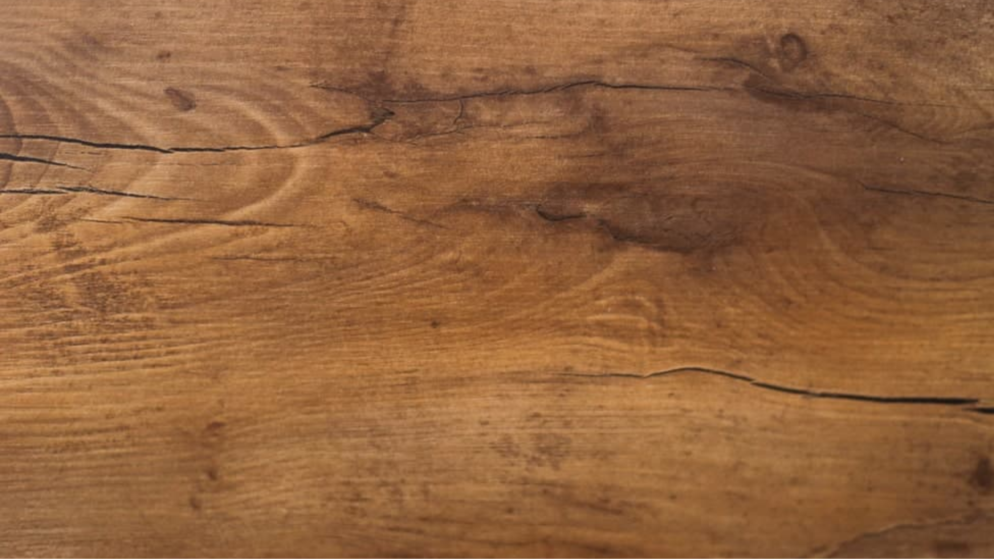 Alder_Wood_Black_Alder