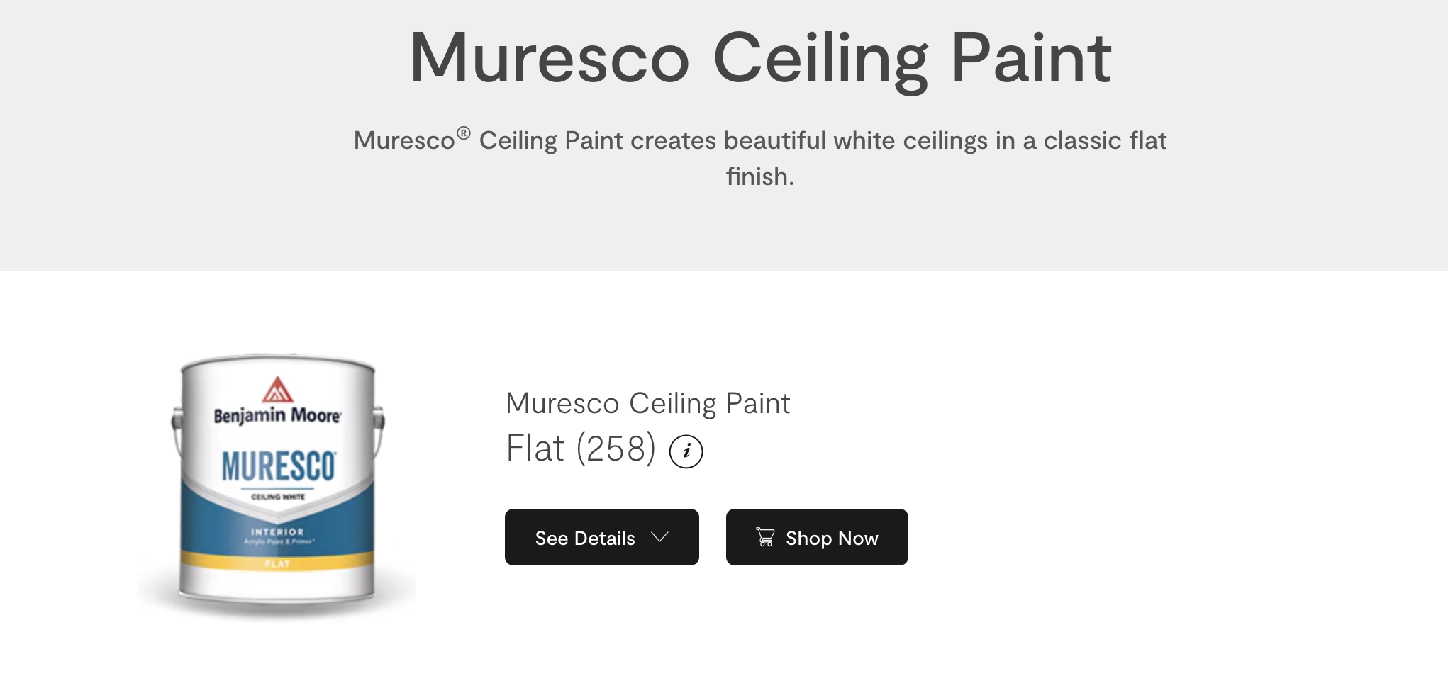 Benjamin Moore Muresco Ceiling Paint