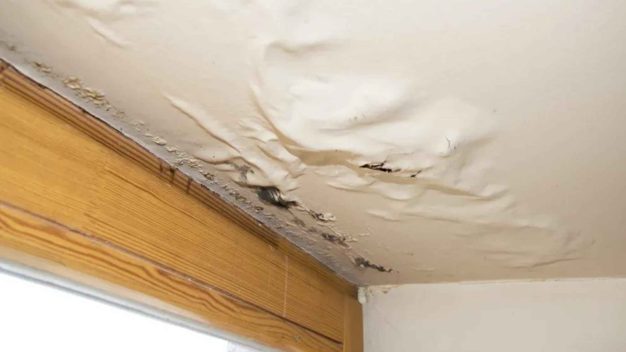 Bowed_Ceiling_with_Cracks
