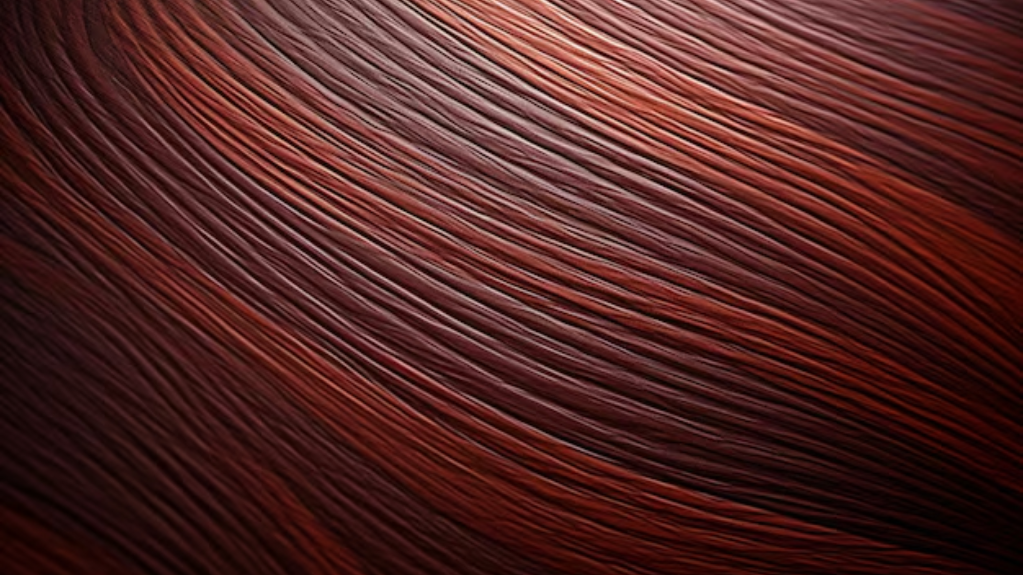 Chestnut_Wood_Black_Chestnut