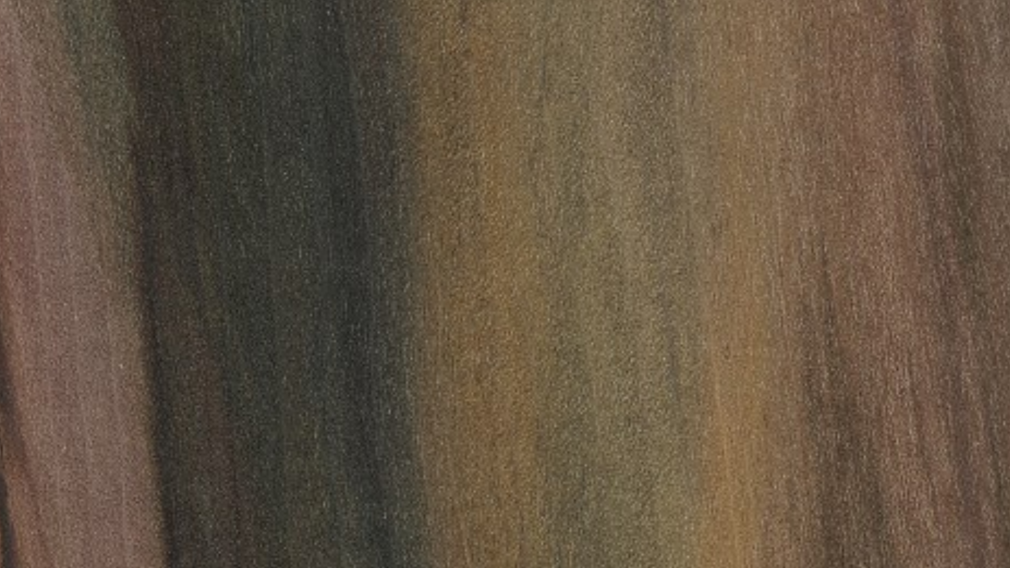 Poplar_Wood_Black_Poplar