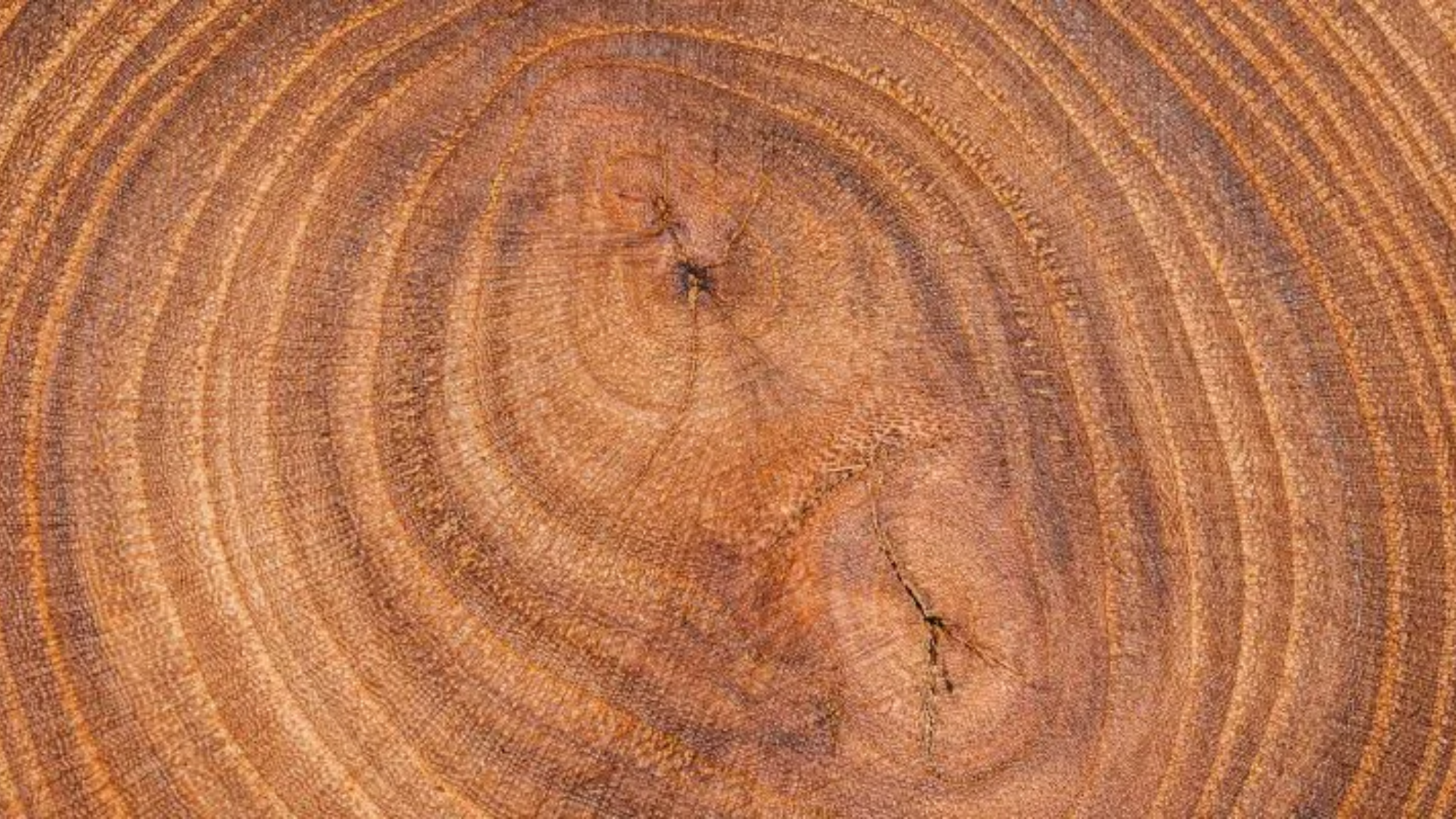 Teak_Wood
