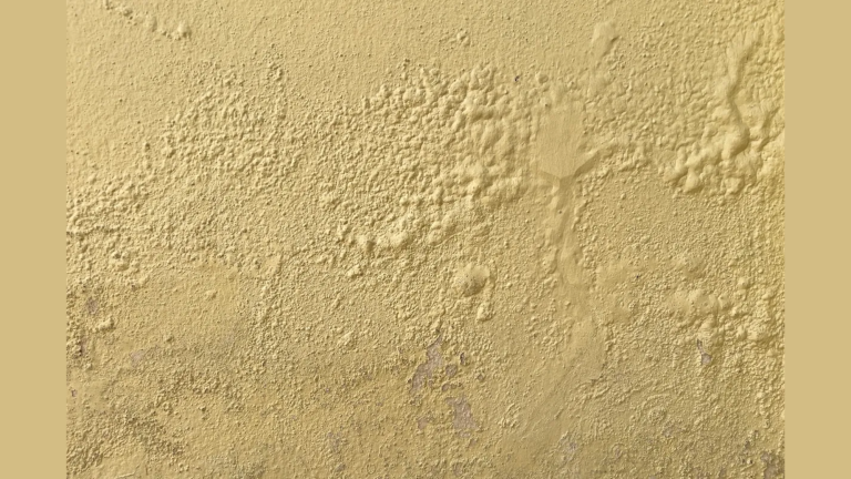 Why Does Paint Bubble on Walls and Ceilings