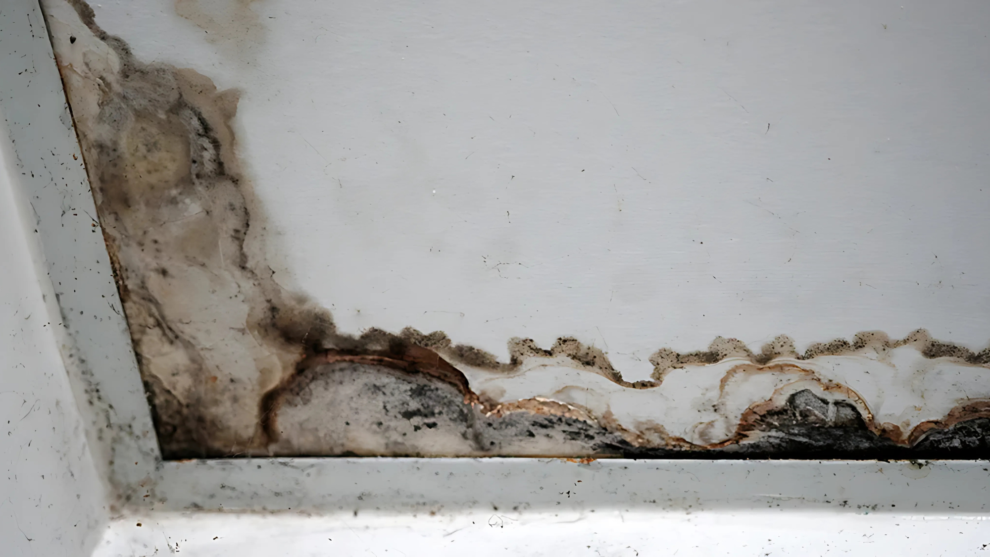 Yellowish_Brown_Discolored_Cracks