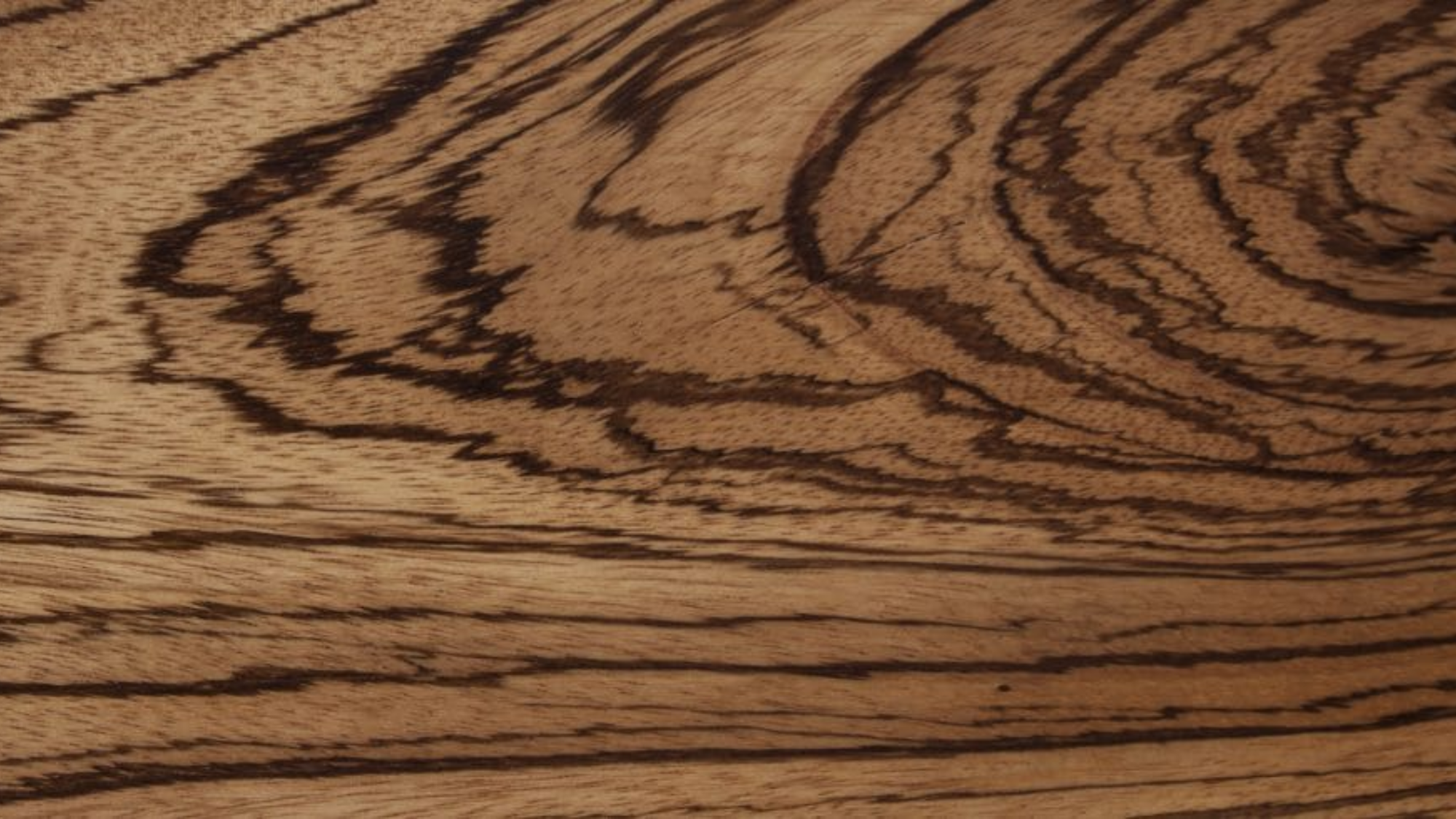 Zebrawood