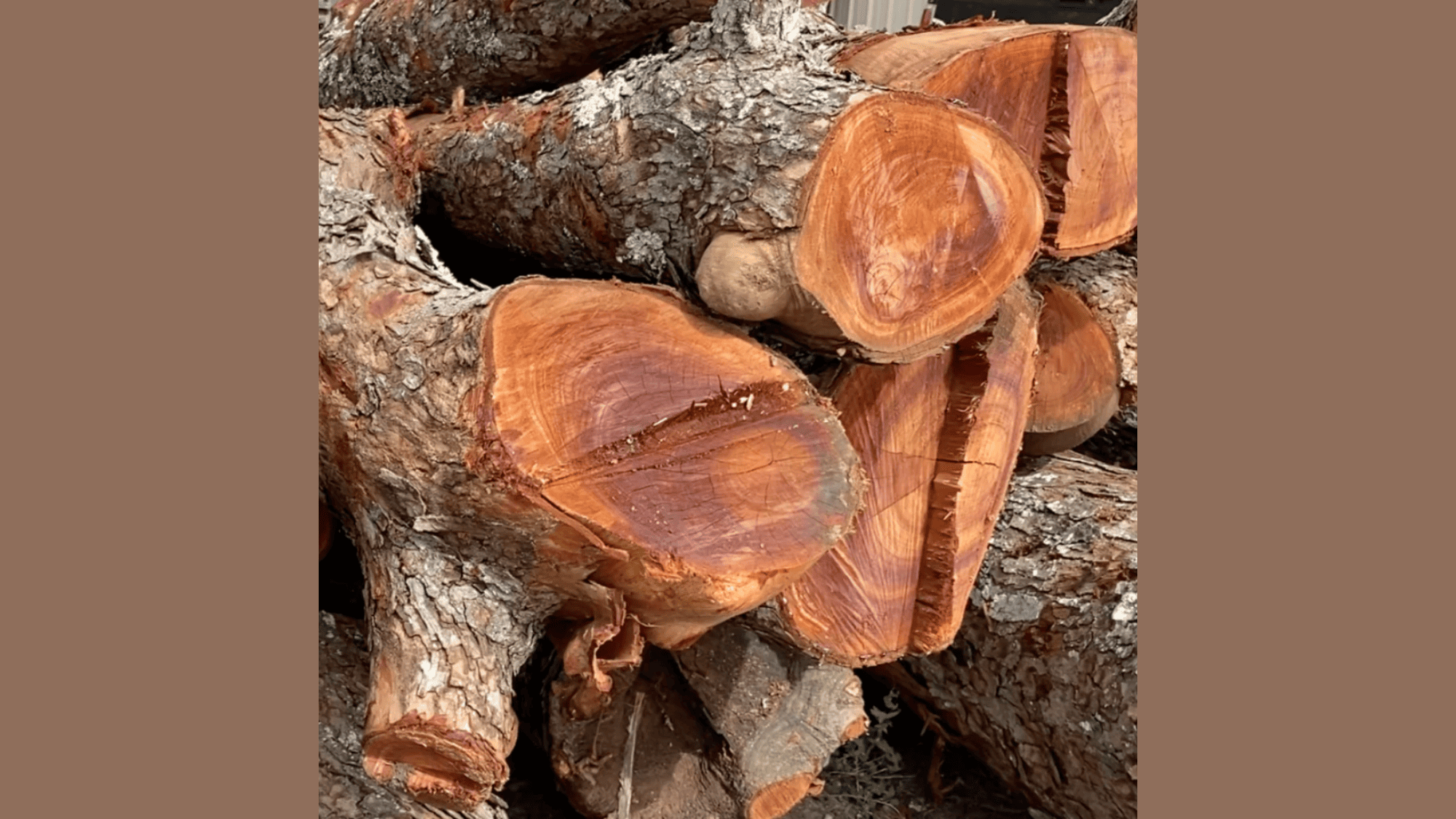 Koa_-_25-100_per_board_foot