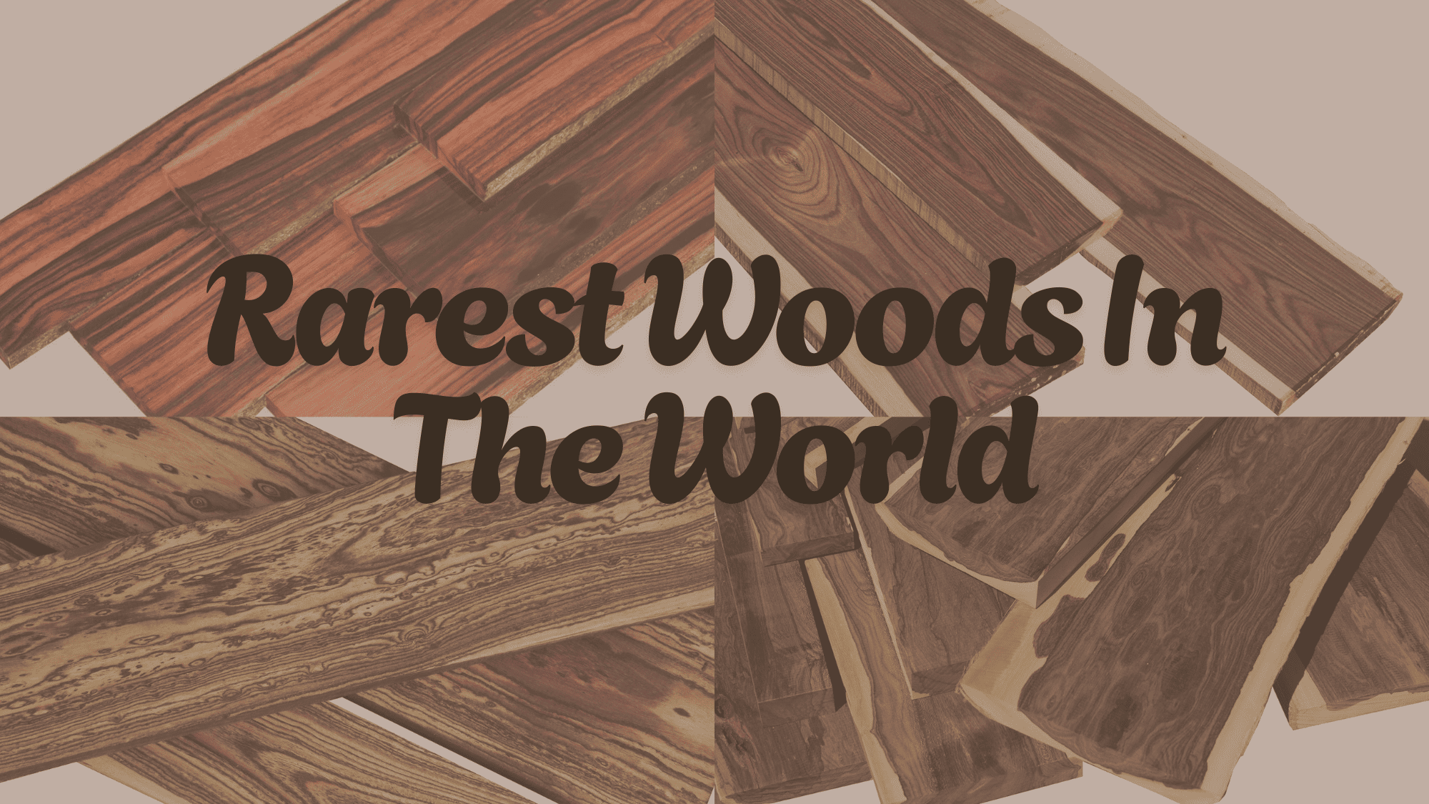 rarest wood in the world