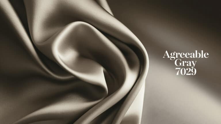 Everything You Should Know About Agreeable Gray Explained