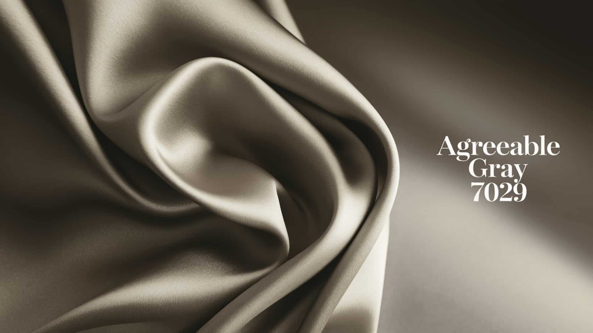 Everything You Should Know About Agreeable Gray Explained