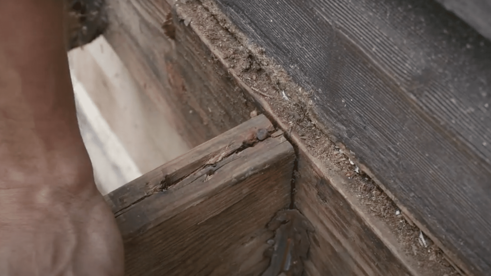 remove joist
