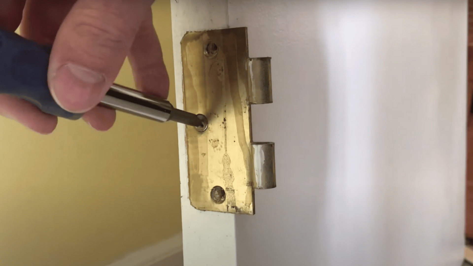 Loosen the Hinge Screws